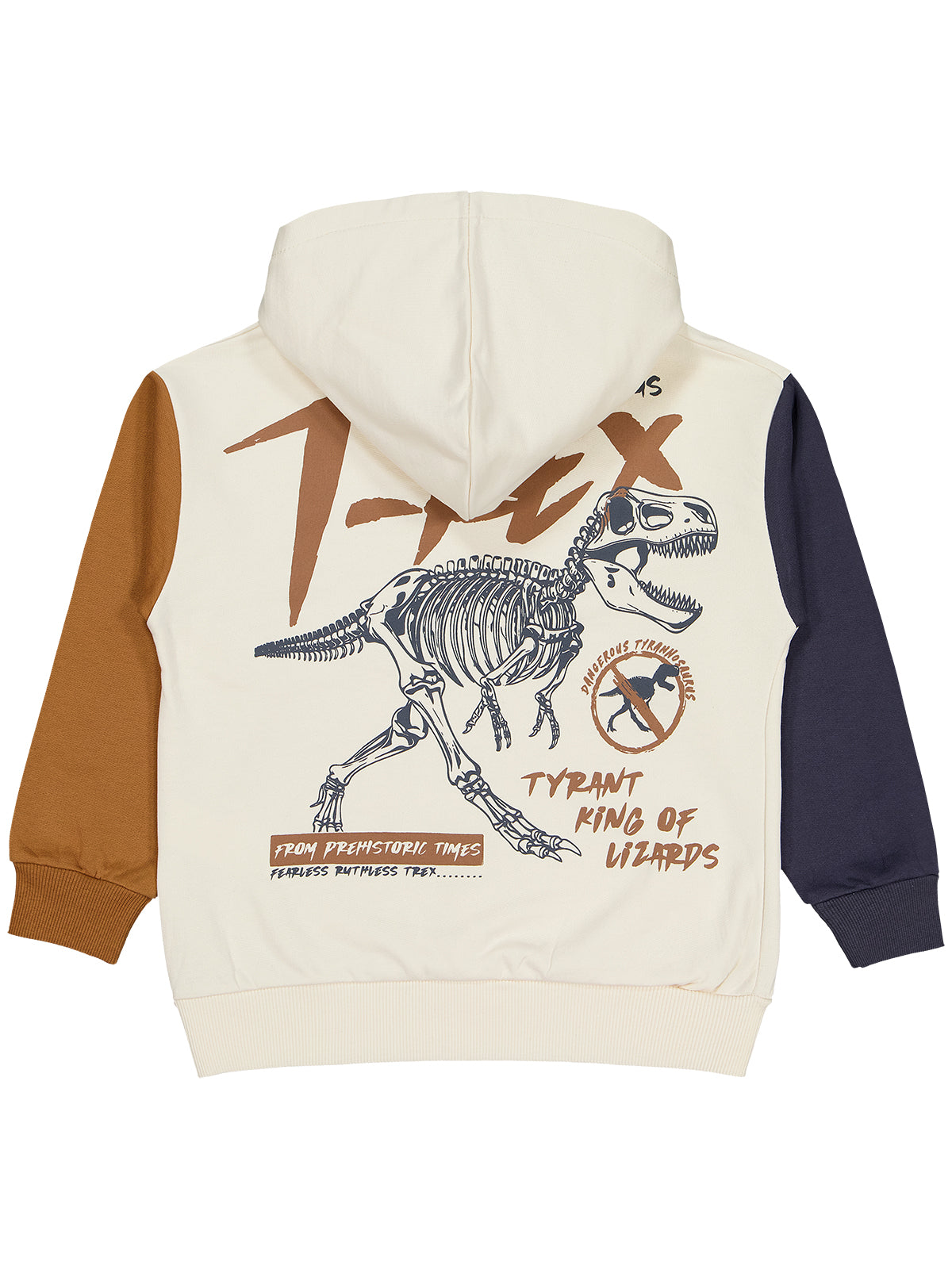 4188-2 MyCozyKids Boys T Rex Print Hooded 6-9 Years Sweatshirt