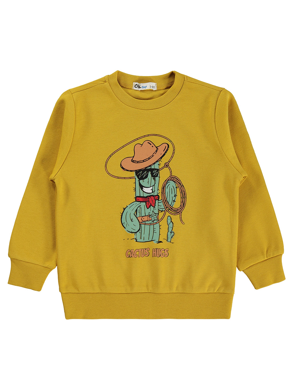 2682 MyCozyKids Boys Cowboy Cactus Print 2-5 Years Sweatshirt