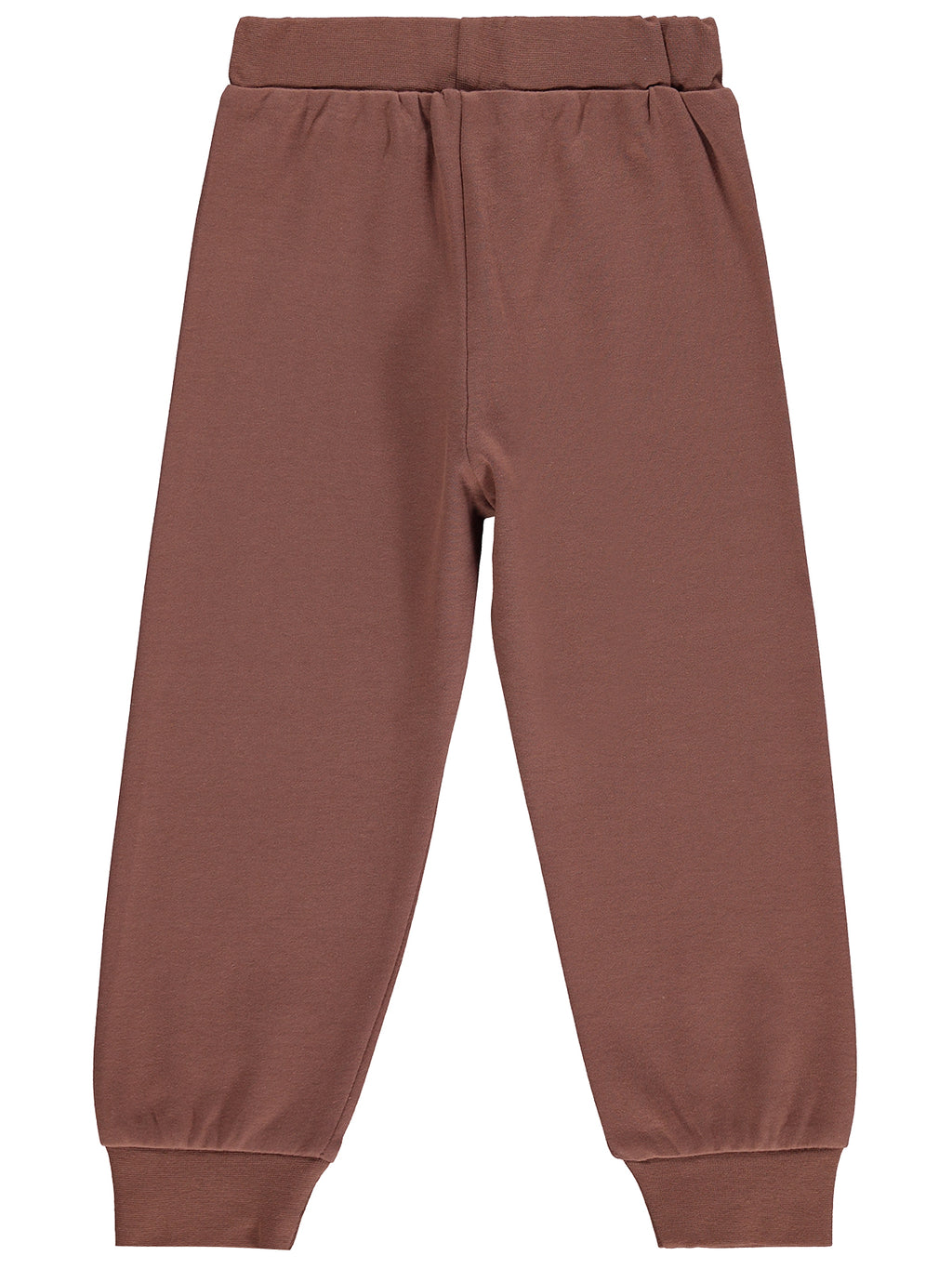 2685 MyCozyKids Boys Awesome Lion Print 2-5 Years Jogger Pants