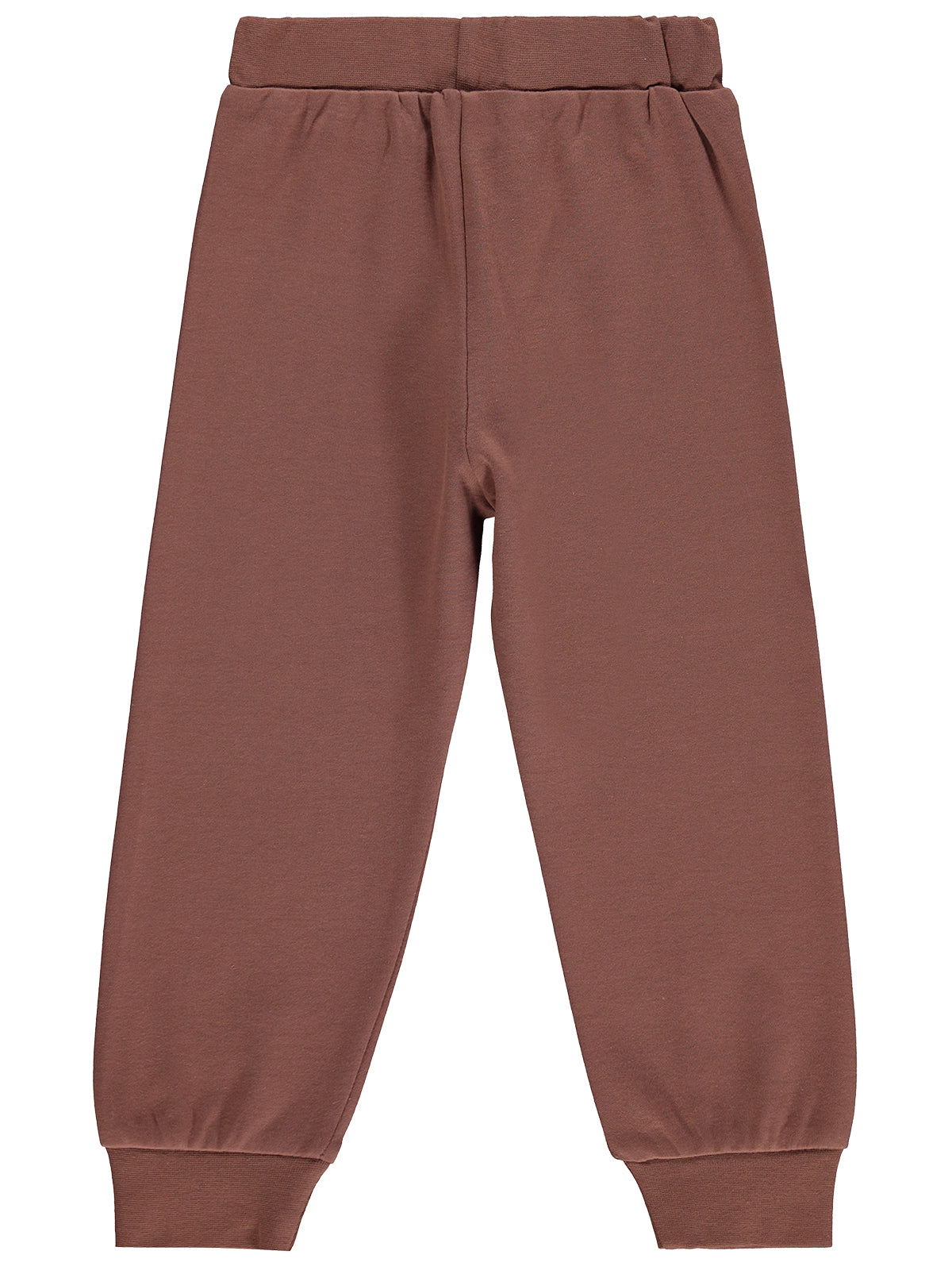 2685 MyCozyKids Boys Awesome Lion Print 2-5 Years Jogger Pants
