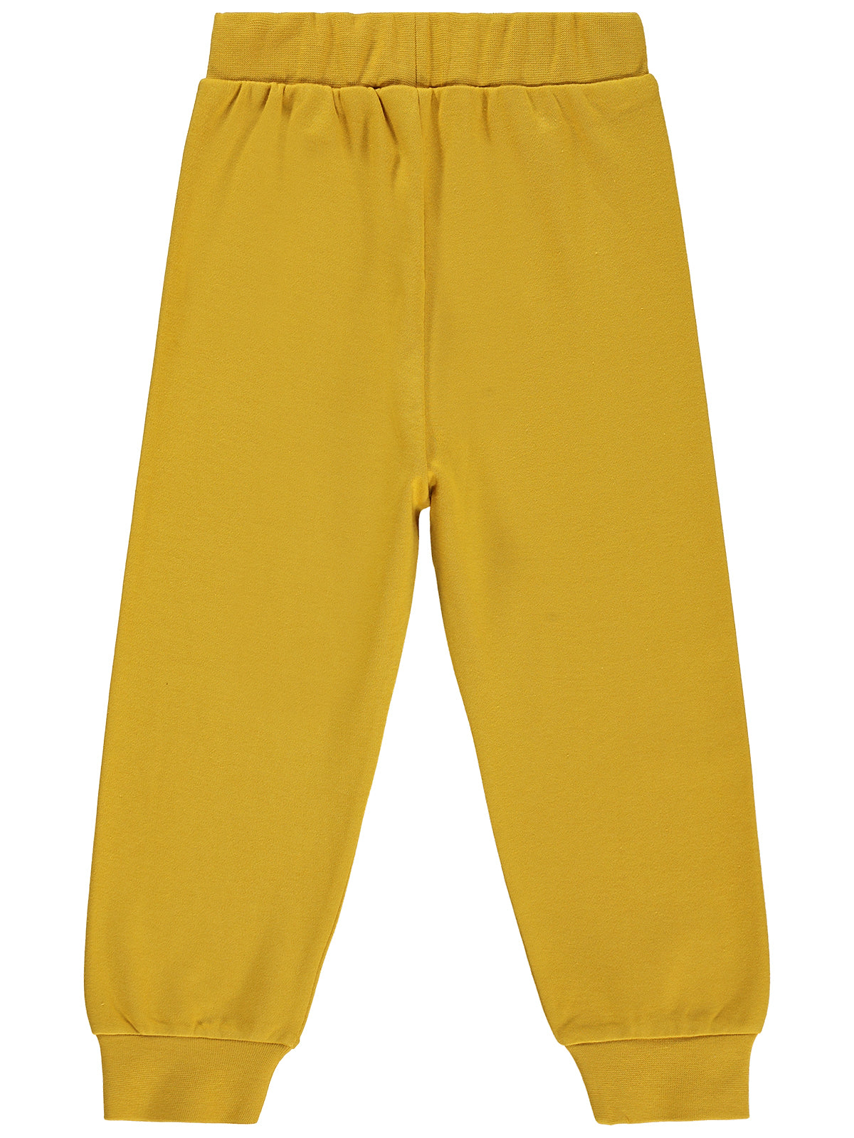 2683 MyCozyKids Boys Cowboy Cactus Print 2-5 Years Jogger Pants